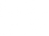 logo-bok